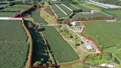 /international/nz/617-no-2-road-te-puke-bay-of-plenty-380119824091/