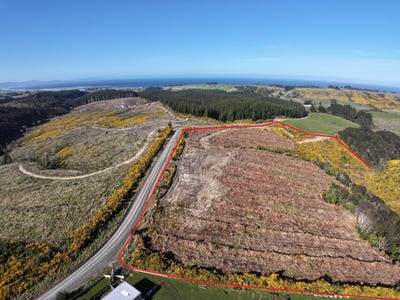 /international/nz/taieri-beach-road-taieri-mouth-otago-380119816859/