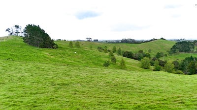 /international/nz/williamson-road-wellsford-auckland-380119815925/