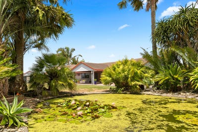 /international/nz/33-jamieson-road-buckland-auckland-380119818274/