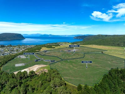 /international/nz/00-the-terraces-kinloch-central-north-island-380119844051/