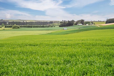 /international/nz/485-levels-valley-road-levels-canterbury-380119963464/
