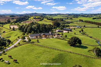 /international/nz/678-waiuku-road-pukekohe-auckland-380119942316/