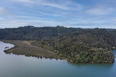 /international/nz/295-kopaki-point-cooks-beach-coromandel-380119856109/