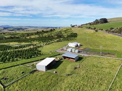 /international/nz/4478-state-highway-12-dargaville-northland-380119809824/
