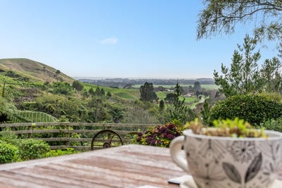 /international/nz/132-mangaone-north-road-te-horo-wellington-380119825701/