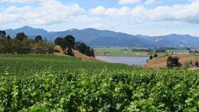 /international/nz/488-delta-lake-heights-renwick-marlborough-380119838371/