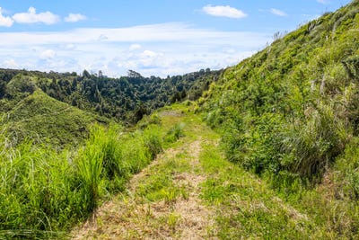 /international/nz/709-ahuroa-road-puhoi-auckland-380119837350/
