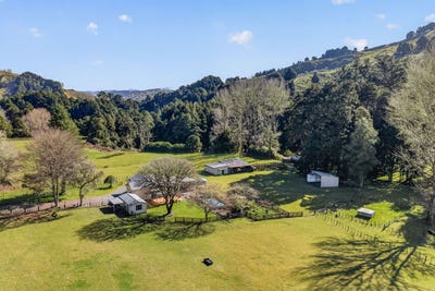 /international/nz/1513-hikumutu-road-taumarunui-central-north-island-380119876074/