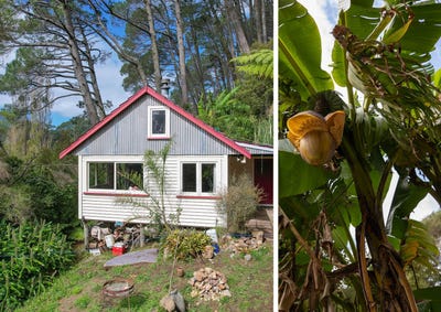 /international/nz/294-tapu-coroglen-road-tapu-294-tapu-coroglen-road-tapu-coromandel-380119867378/