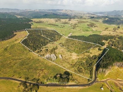 /international/nz/0-herekino-broadwood-road-herekino-northland-380120025015/
