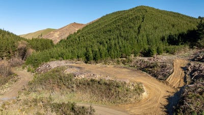 /international/nz/motueka-valley-highway-rabbit-gully-ngatimoti-nelson-bays-380119816790/