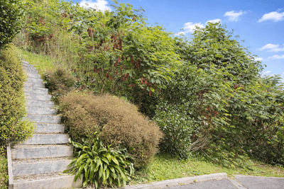 /international/nz/85j-seatoun-heights-road-seatoun-wellington-380119824565/