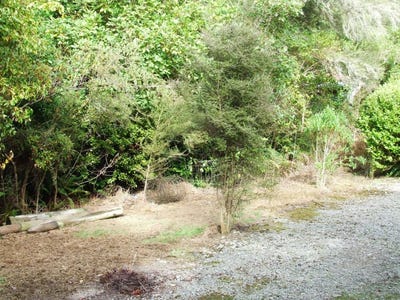 /international/nz/162-blandswood-road-mesopotamia-canterbury-380119860969/