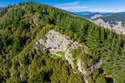 /international/nz/793-waikakaho-road-tuamarina-marlborough-380119938916/