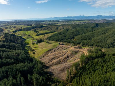 /international/nz/0-supplejack-valley-road-upper-moutere-nelson-bays-380119853981/