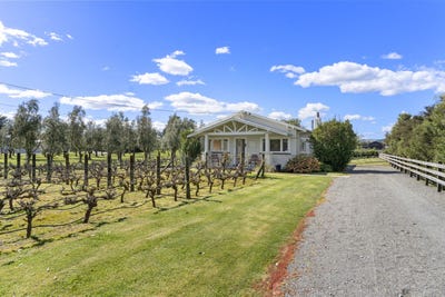/international/nz/49-oxford-street-martinborough-wairarapa-380120025992/