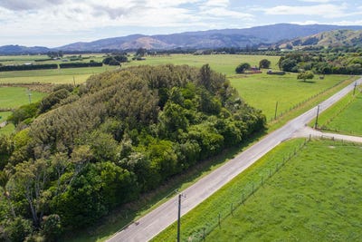 /international/nz/71-hautere-cross-road-te-horo-wellington-380119832136/