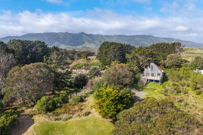 /international/nz/91a-paetawa-road-peka-peka-wellington-380119879440/