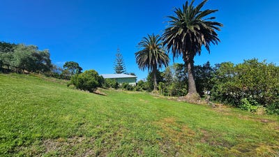 /international/nz/42a-ranfurly-street-dargaville-northland-380119866371/
