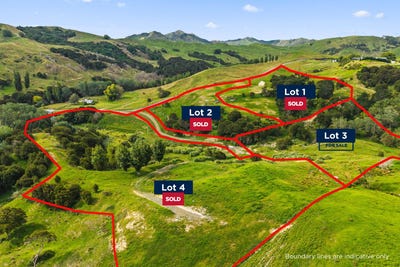 /international/nz/lots-1-4-dp-628973-goodwin-road-whataupoko-gisborne-380119812774/