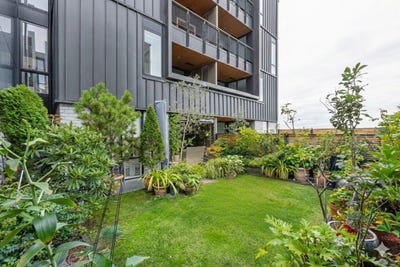 /international/nz/onehunga-auckland-380119845876/