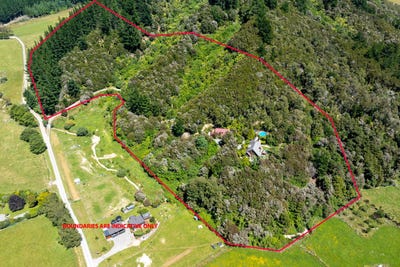 /international/nz/56-camerons-road-havelock-marlborough-380119828409/