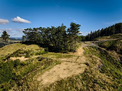 /international/nz/lots-2-6-771b-paekakariki-hill-road-pauatahanui-wellington-380119803428/