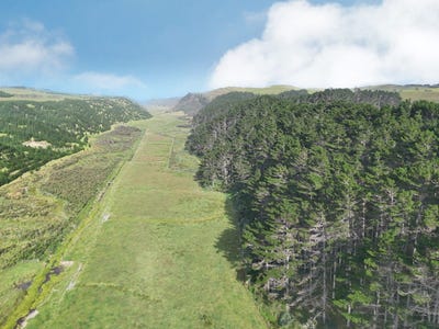 /international/nz/17-kai-iwi-lakes-road-dargaville-northland-380119857243/
