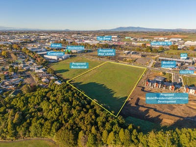 /international/nz/38-karewa-place-te-rapa-waikato-380119834098/