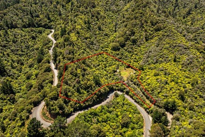 /international/nz/1092-driving-creek-road-coromandel-coromandel-380119850745/