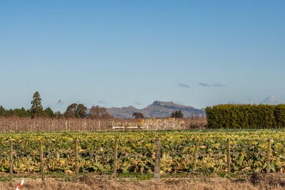 /international/nz/234-meeanee-road-meeanee-hawkes-bay-380119877301/