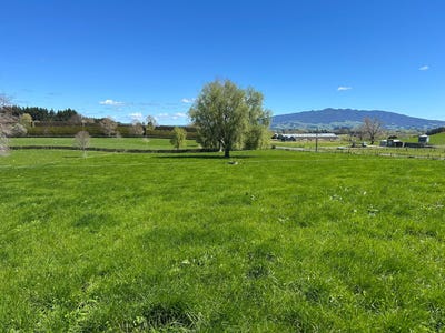 /international/nz/162-bowman-road-te-awamutu-waikato-380120024858/
