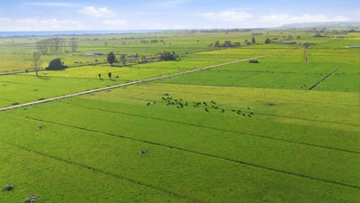 /international/nz/155-cutwater-road-pukehina-bay-of-plenty-380120025890/
