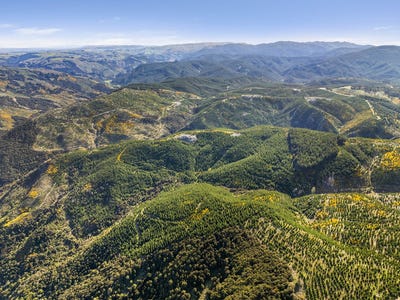/international/nz/taieri-view-17-18-and-bells-bush-forest-north-taieri-otago-380119841279/