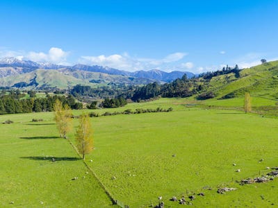 /international/nz/1139-blackburn-road-central-hawkes-bay-country-hawkes-bay-380120025395/