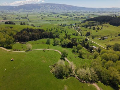 /international/nz/otokia-kuri-bush-road-west-henley-otago-380119848983/