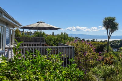 /international/nz/31-montcalm-street-washington-valley-nelson-bays-380119984560/