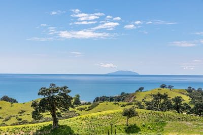 /international/nz/306-sea-view-road-wawata-estate-onetangi-auckland-380119855497/