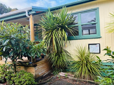 /international/nz/7-greys-lane-paihia-northland-380119813771/