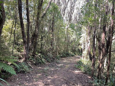 /international/nz/28-patmos-avenue-woodhaugh-otago-380119802221/