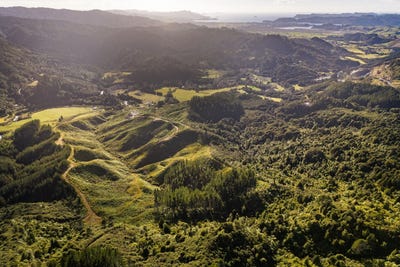 /international/nz/1870-the-309-road-whitianga-coromandel-380119830013/