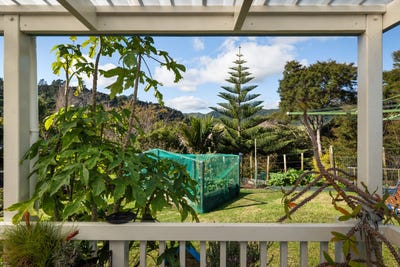 /international/nz/224-the-booms-avenue-thames-coromandel-380119849819/