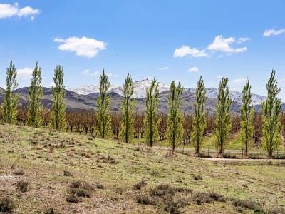 /international/nz/95-stones-road-alexandra-central-otago-lakes-district-380120035921/