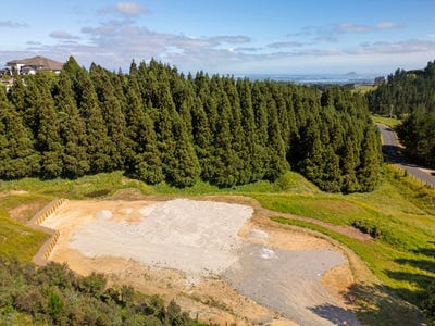 /international/nz/324a-rowe-road-ohauiti-bay-of-plenty-380119817276/