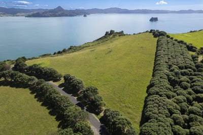 /international/nz/398e-lees-road-hahei-coromandel-380119810321/