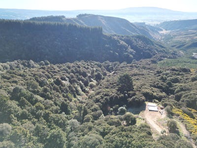/international/nz/527-finlayson-road-waihola-otago-380119813057/