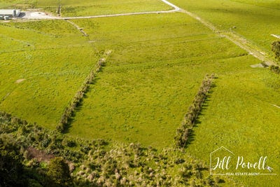 /international/nz/lot-4-dodd-road-maungaturoto-northland-380119984401/