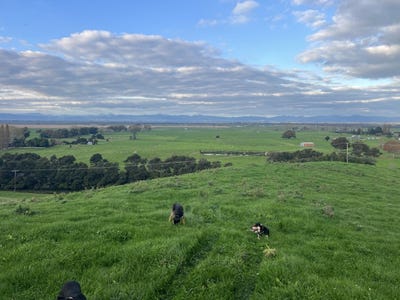 /international/nz/lot-1-2-state-highway-27-kaihere-waikato-380119870950/