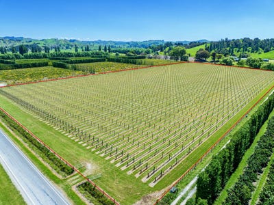 /international/nz/ngakoroa-road-ormond-gisborne-380119862563/